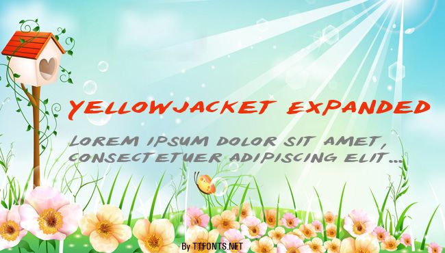 Yellowjacket Expanded example